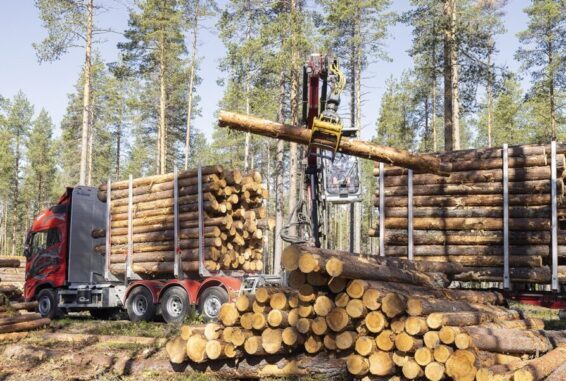 Timber truck loading wood